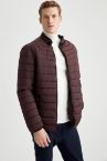 Slim Fit Dik Yaka Kapitone Dolgulu Mont