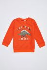 Erkek Bebek Baskılı Selanik Kumaş Sweatshirt