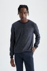 Regular Fit Sweatshirt