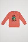 Kız Çocuk Regular Fit Bisiklet Yaka Kaplumbağ Baskılı Sweatshirt