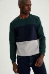 Renk Bloklu Regular Fit Bisiklet Yaka Sweatshirt