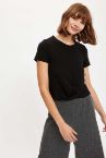Kısa Kollu Crop Top