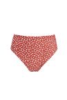 Leopar Desenli Yüksek Bel Bikini Altı