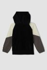 Defacto Fit Erkek Çocuk Regular Fit Kapüşonlu Renk Bloklu Polar Isı Yalıtımlı Warmetech Sweatshirt