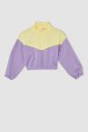 Kız Çocuk Regular Fit Dik Yaka Renk Bloklu Sweatshirt