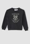سويت شيرت بناتي بقصة مريحة مرخص من Harry Potter