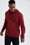 Standart Fit Kapüşonlu Sırt Baskılı İçi Yumuşak Tüylü Sweatshirt