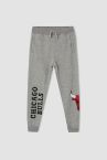 Defacto Fit Erkek Çocuk Slim Fit NBA Lisanslı Chicago Bulls Baskılı Jogger Eşofman Altı