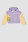 Kız Çocuk Looney Tunes Lisanslı Crop Bisiklet Yaka Renk Bloklu Sweatshirt