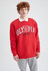 Oversize Fit Bisiklet Yaka Baskılı Uzun Kollu Sweatshirt