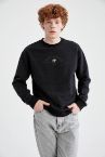 Regular Fit Bisiklet Yaka Baskılı İçi Yumuşak Tüylü Geri Dönüşümlü Sweatshirt