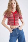 Slim Fit Polo Yaka Çizgili Kısa Kollu Triko Kazak