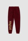 Erkek Çocuk Harry Potter Lisanslı Regular Fit İçi Yumuşak Tüylü Jogger Eşofman Alt