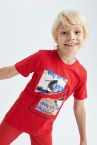 Boy Short Sleeve T-Shirt
