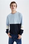 Regular Fit Bisiklet Yaka İnce Kumaş Geri Dönüşümlü Sweatshirt
