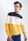 Regular Fit Slogan Baskılı İnce Kumaş Geri Dönüşümlü Dolgu Sweatshirt