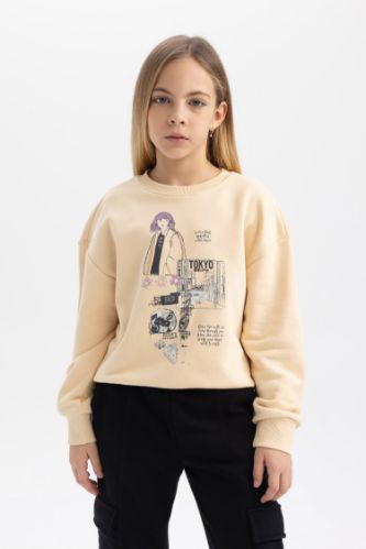 Regular Fit Crew Neck Sweatshirt