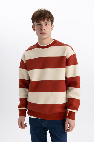 Boxy Fit Striped Long Sleeve Sweatshirt