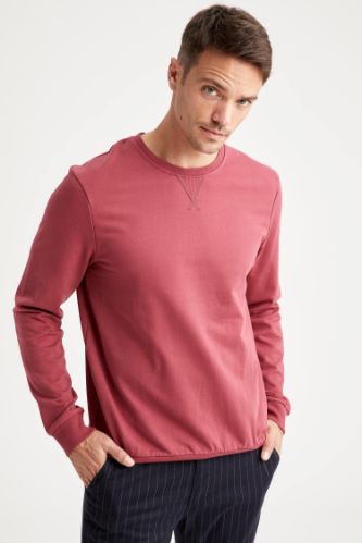 Bisiklet Yaka Basic Regular Fit Sweatshirt
