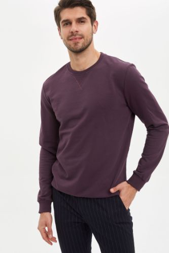 Bisiklet Yaka Basic Regular Fit Sweatshirt