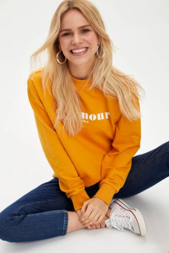 Regular Fit Yarım Balıkçı Yaka Uzun Kollu Sweatshirt