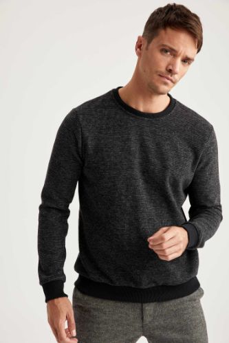 Desenli Regular Fit Bisiklet Yaka Sweatshirt