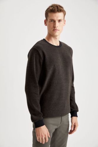 Regular Fit Bisiklet Yaka Sweatshirt