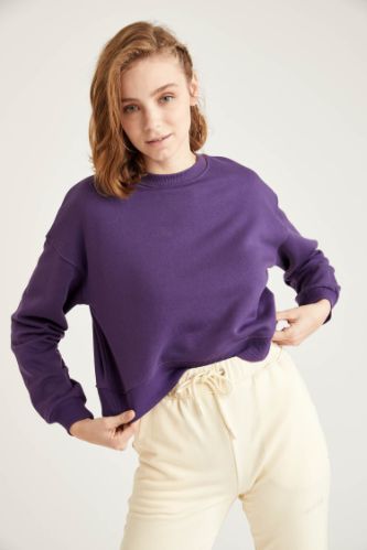 Relax Fit Crop Sweatshirt