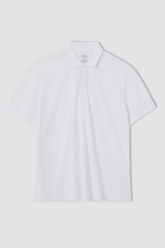 Büyük Beden Regular Fit Polo Yaka Basic Kısa Kollu Tişört