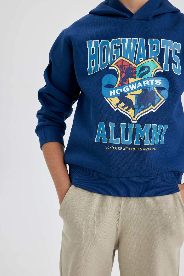 Erkek Çocuk Harry Potter Bisiklet Yaka Kalın Sweatshirt