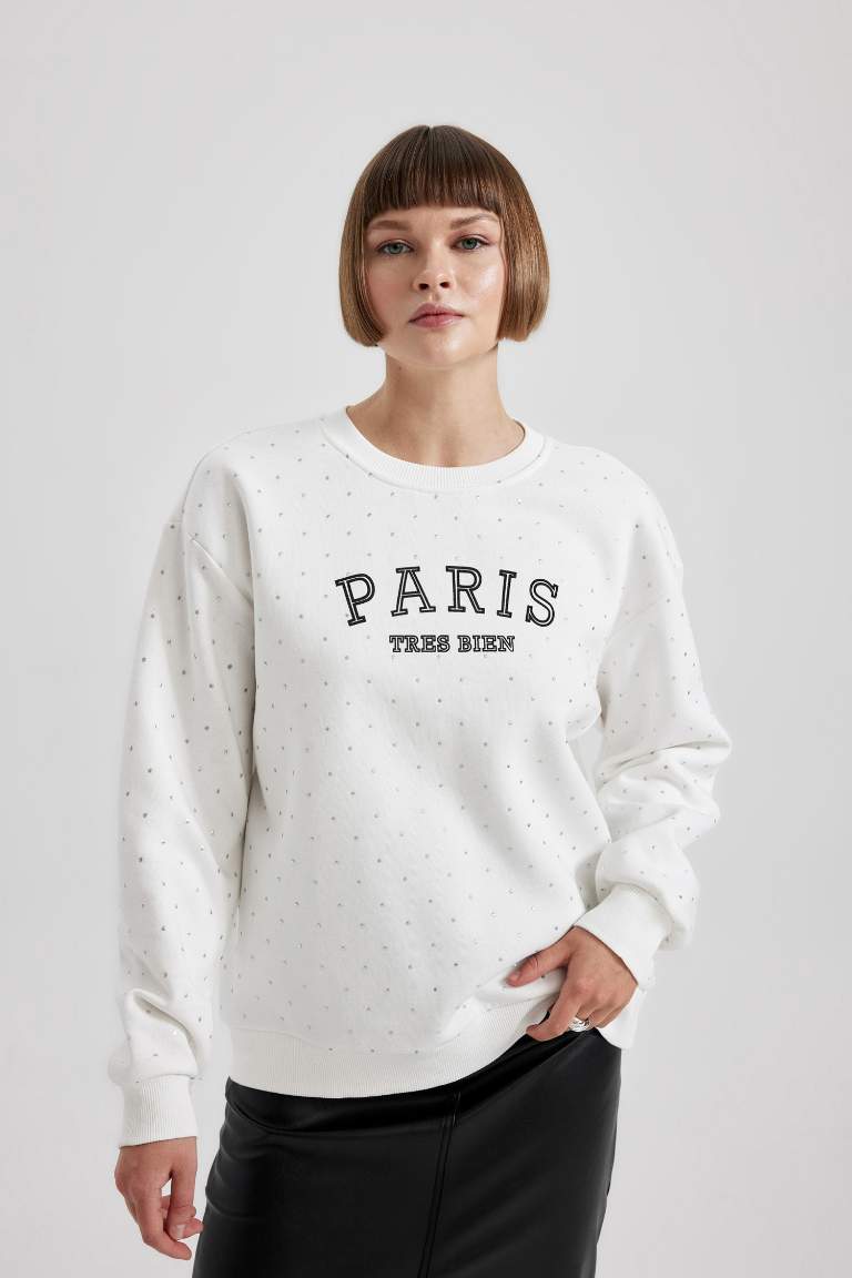 Regular Fit Bisiklet Yaka Kalın Sweatshirt