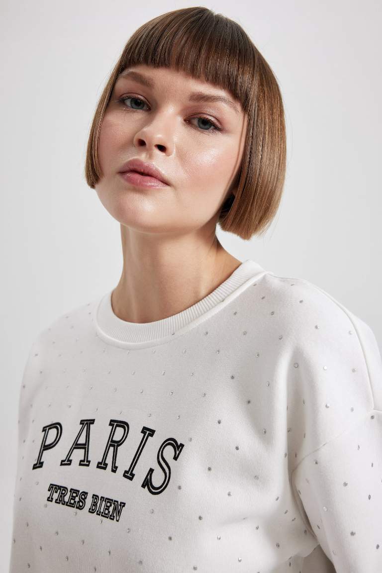 Regular Fit Bisiklet Yaka Kalın Sweatshirt