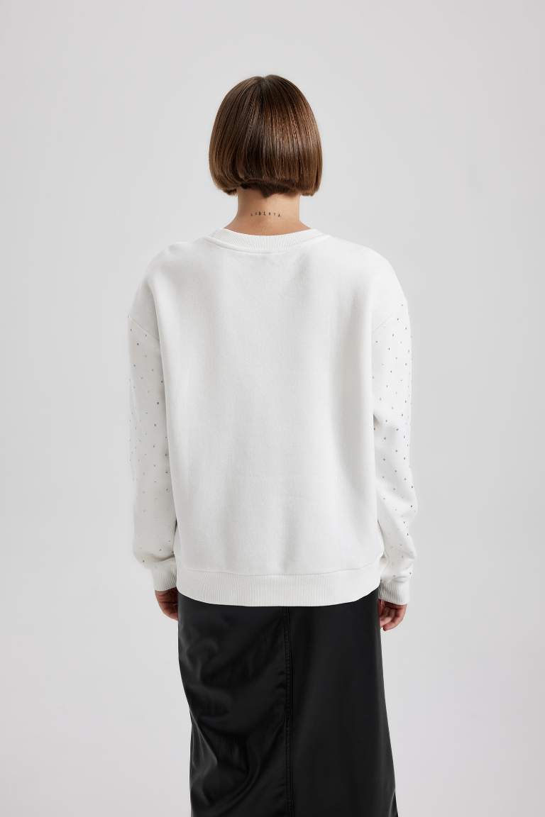Regular Fit Bisiklet Yaka Kalın Sweatshirt