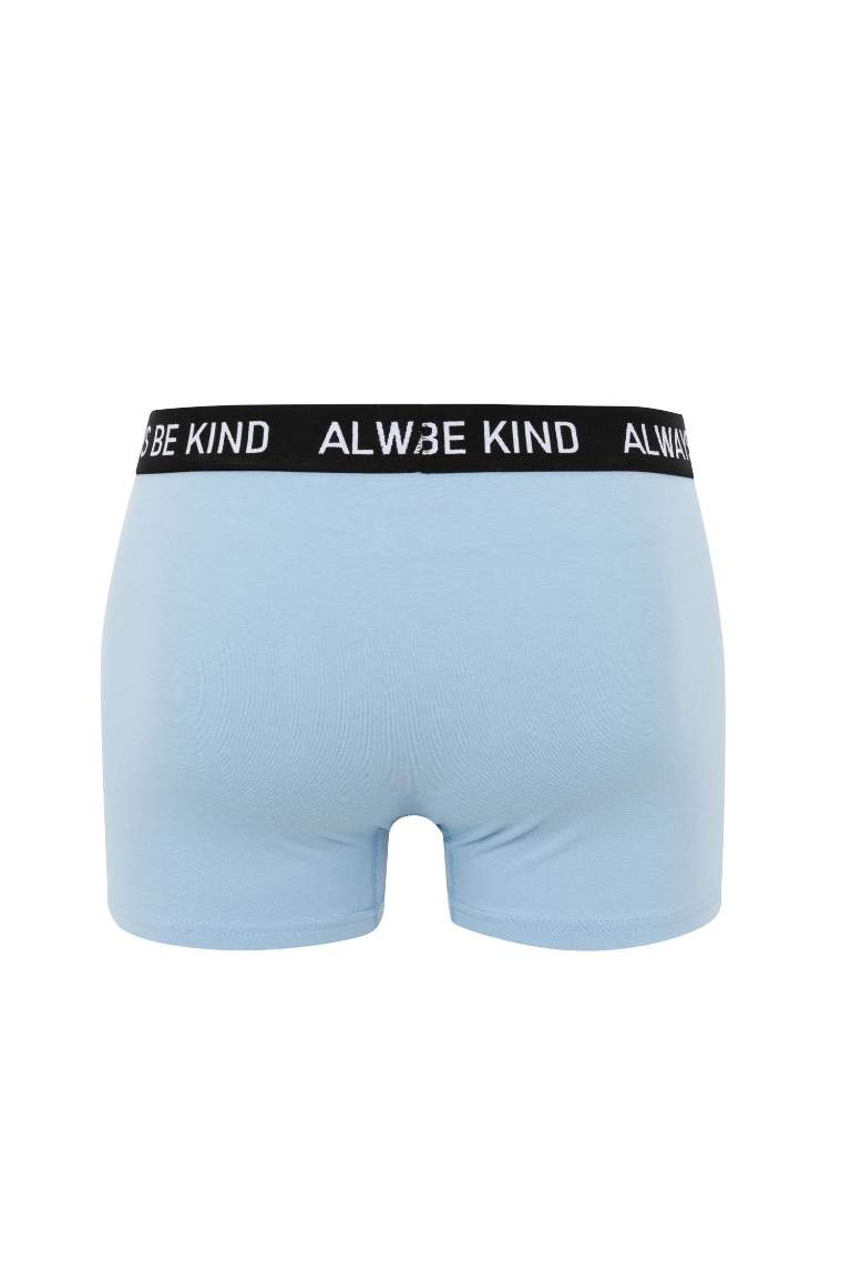 Regular Fit 3'lü Boxer