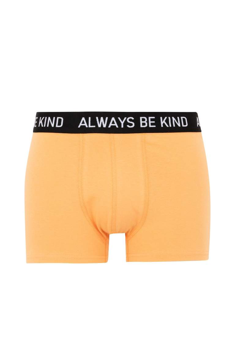 Regular Fit 3'lü Boxer