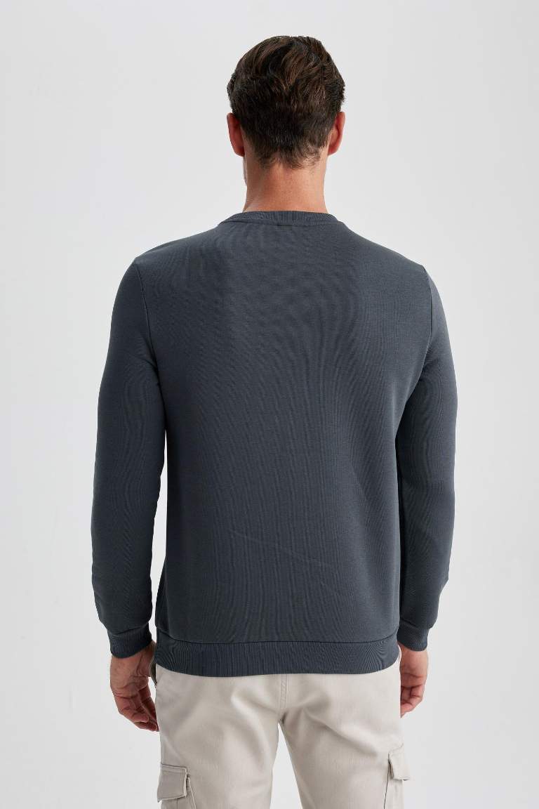 Regular Fit Bisiklet Yaka Basic Pamuklu Sweatshirt