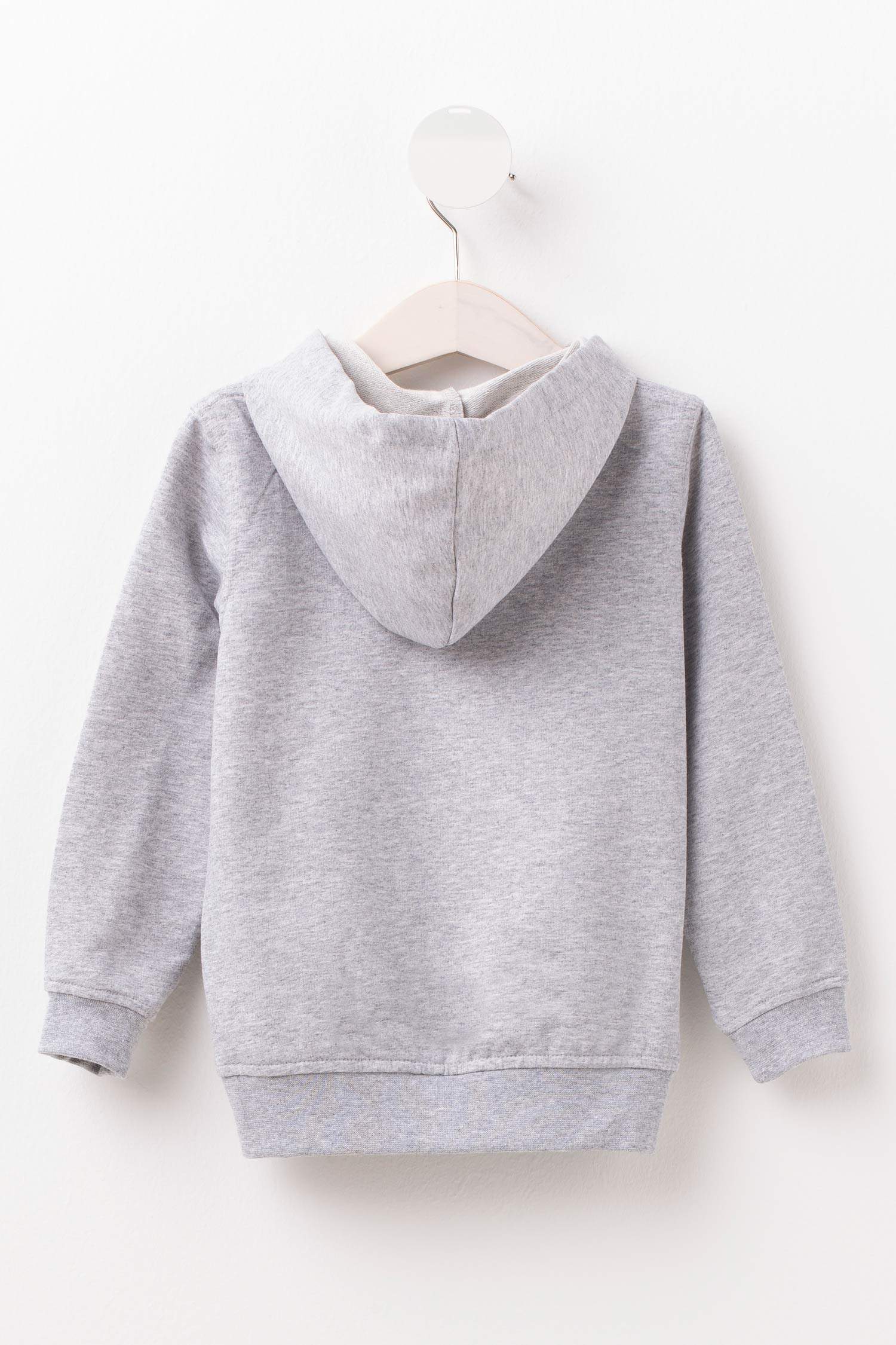 Defacto Kapşonlu Erkek Çocuk Sweatshirt. 3 Defacto Kapşonlu Erkek Çocuk Sweatshirt. 3