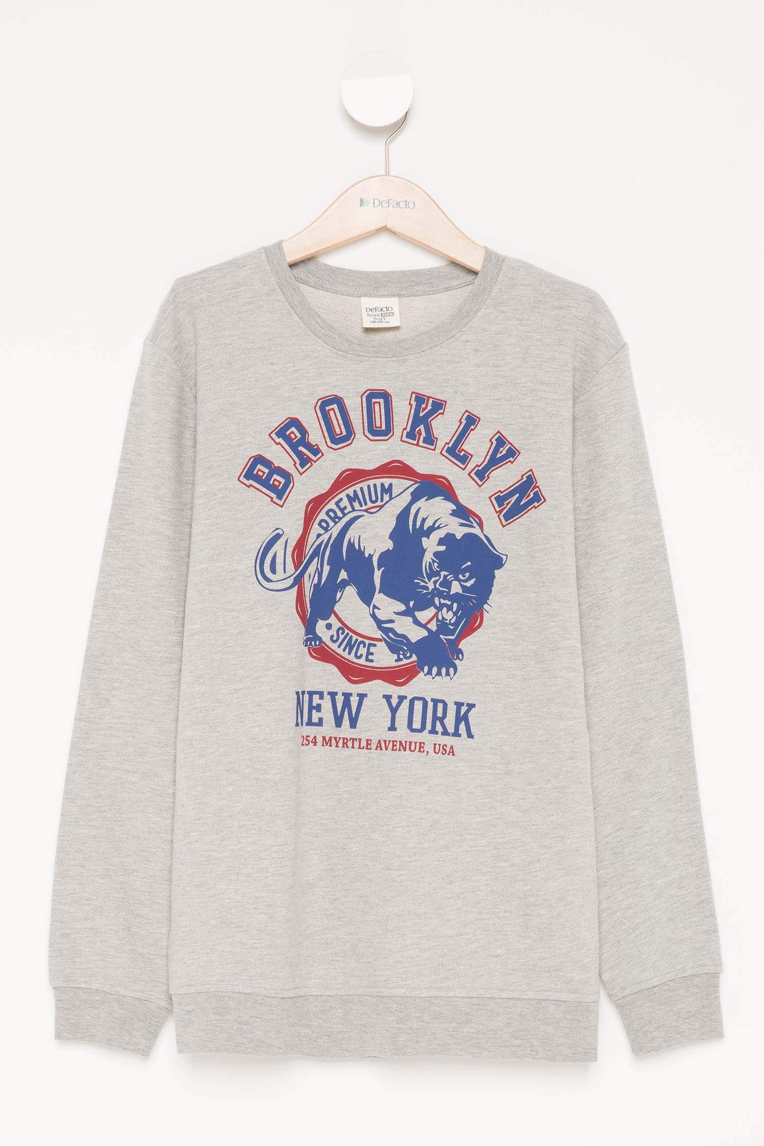 Defacto Baskılı Genç Erkek Sweatshirt 0 Defacto Baskılı Genç Erkek Sweatshirt 1