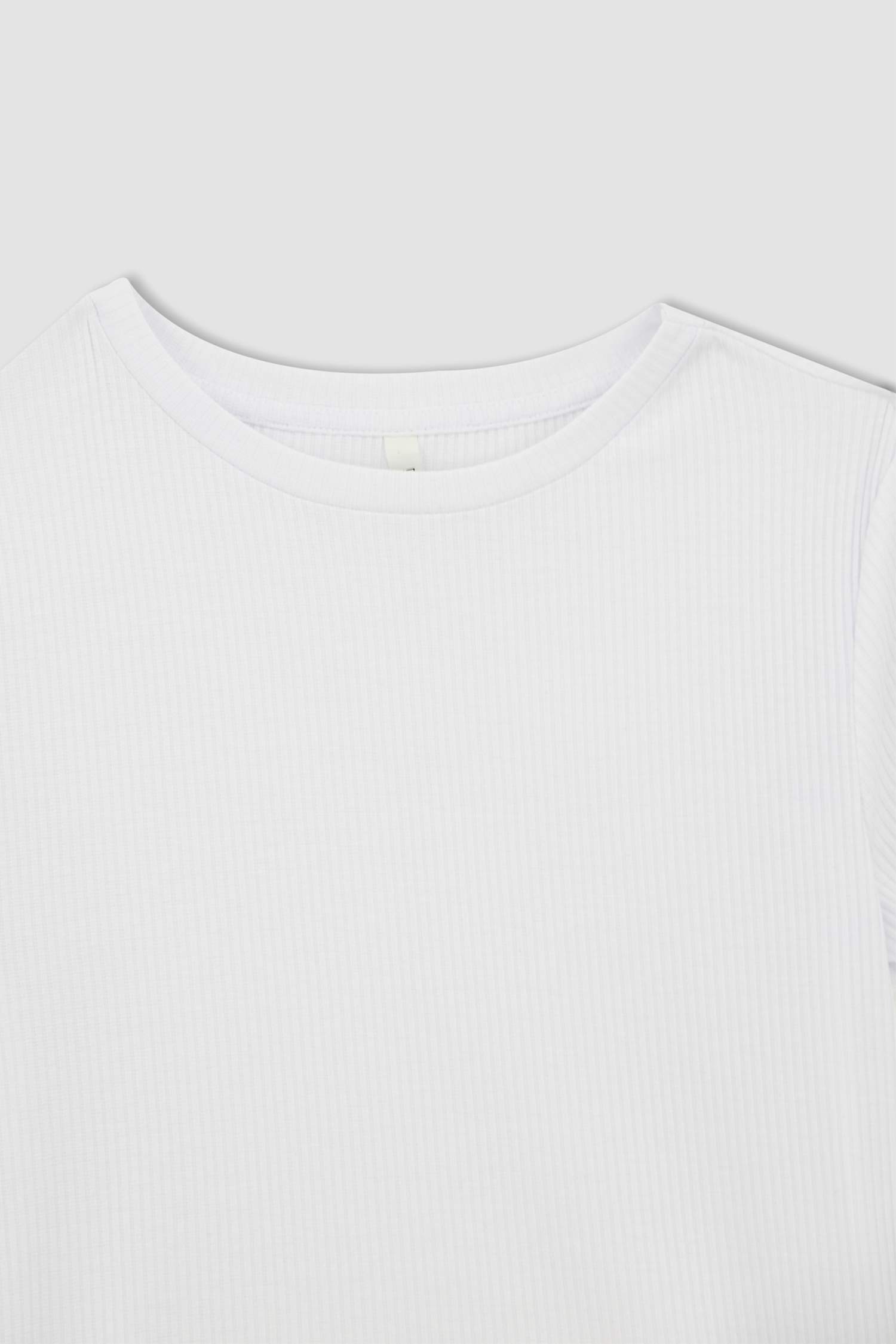 Slim Fit Bisiklet Yaka Kısa Kollu Tişört