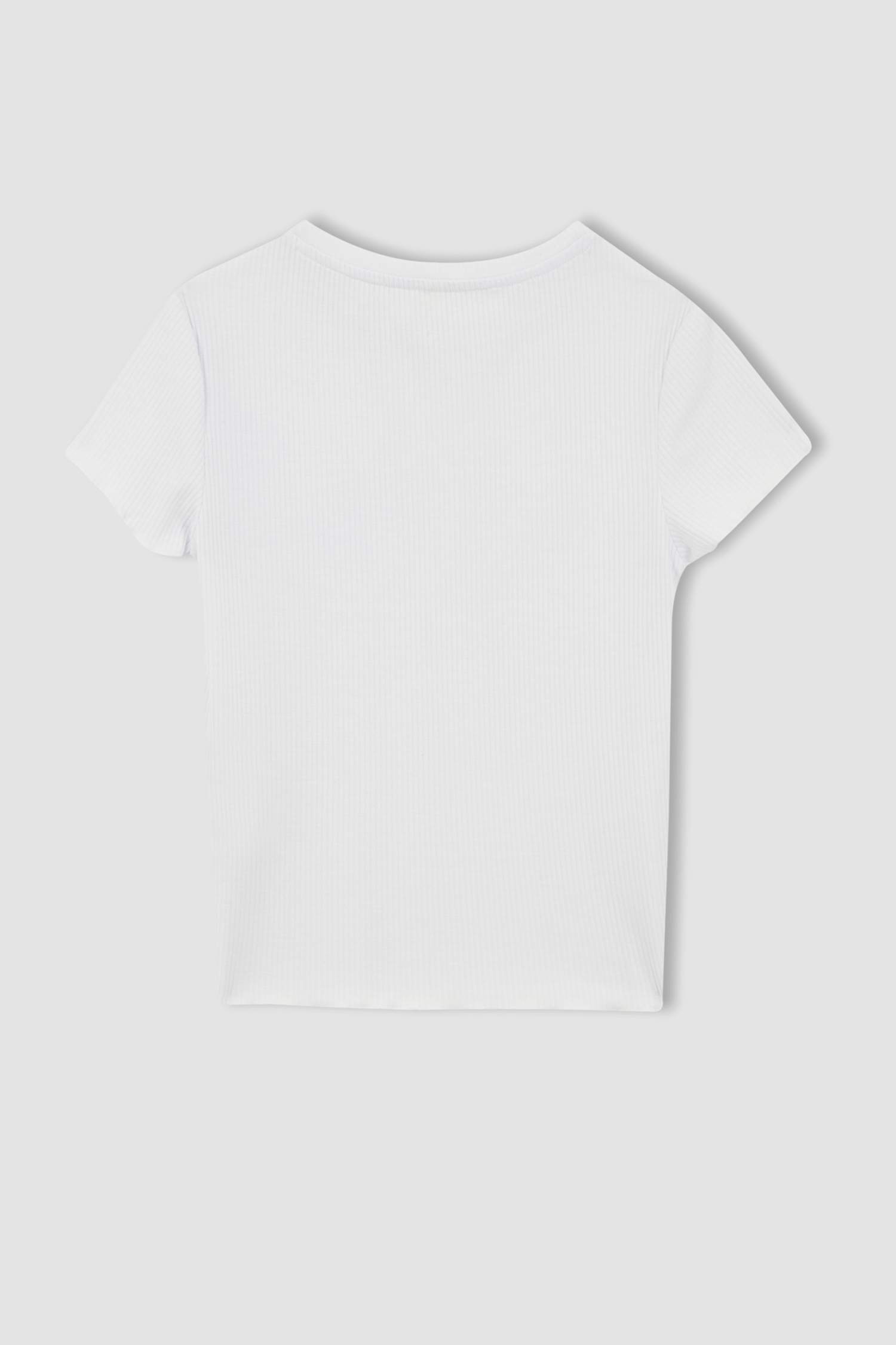 Slim Fit Bisiklet Yaka Kısa Kollu Tişört