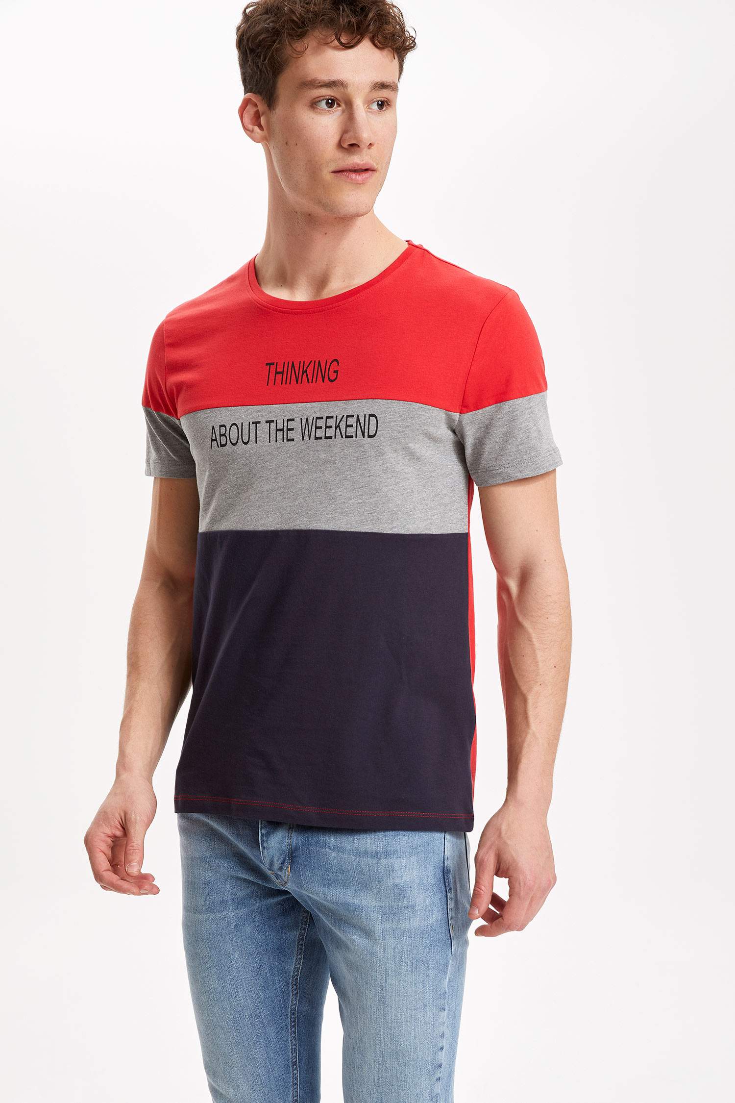 Regular Fit Bisiklet Yaka Renk Bloklu Kısa Kollu Tişört