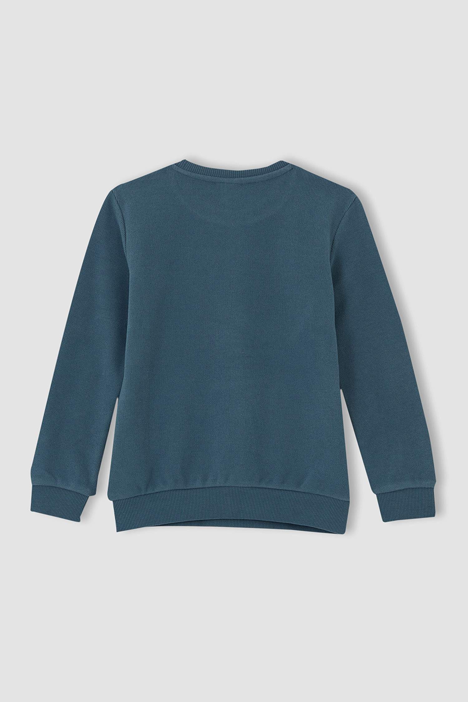 Erkek Çocuk Regular Fit Bisiklet Yaka Selanik Kumaş Sweatshirt