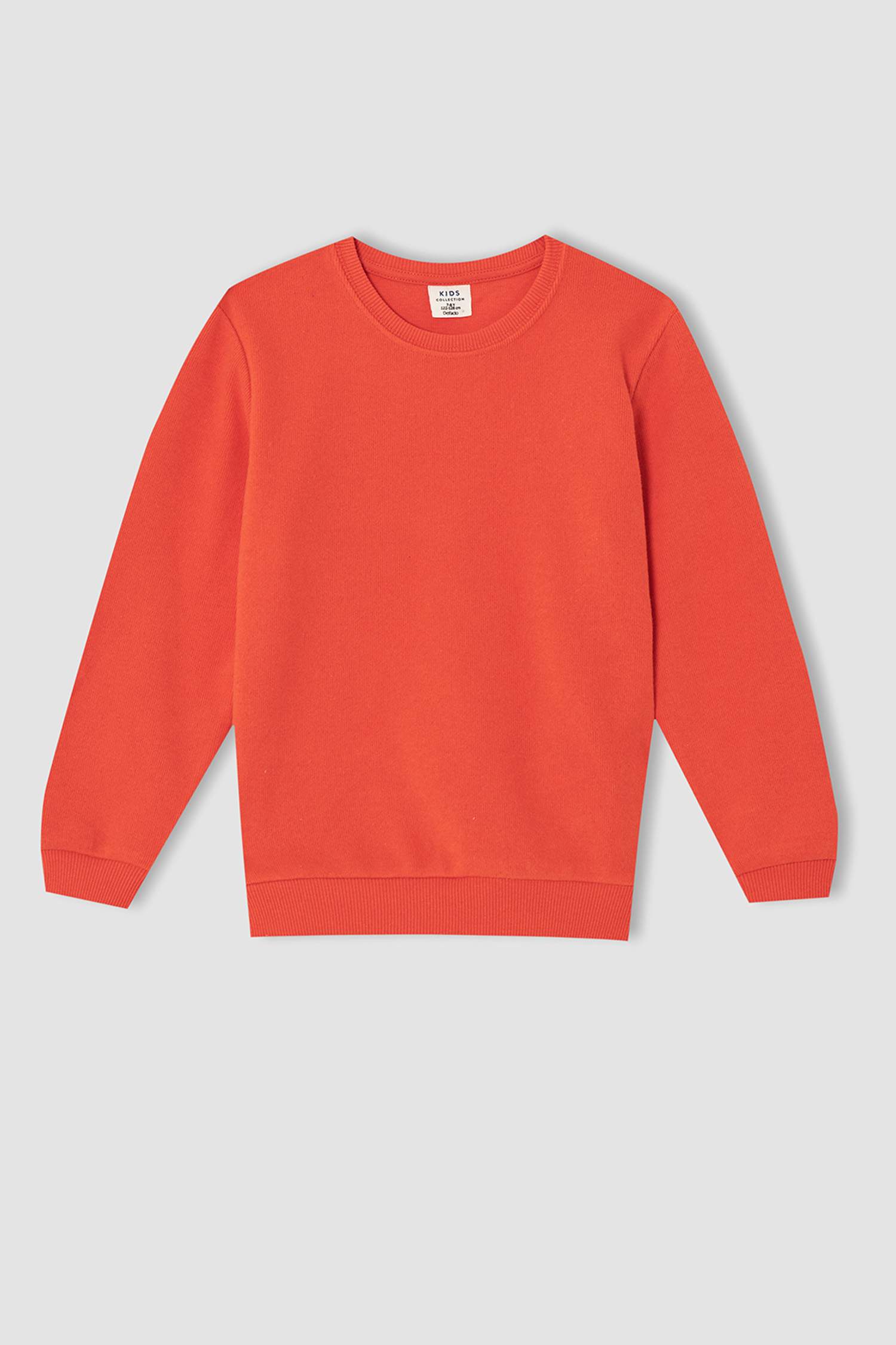 Erkek Çocuk Regular Fit Bisiklet Yaka Sweatshirt