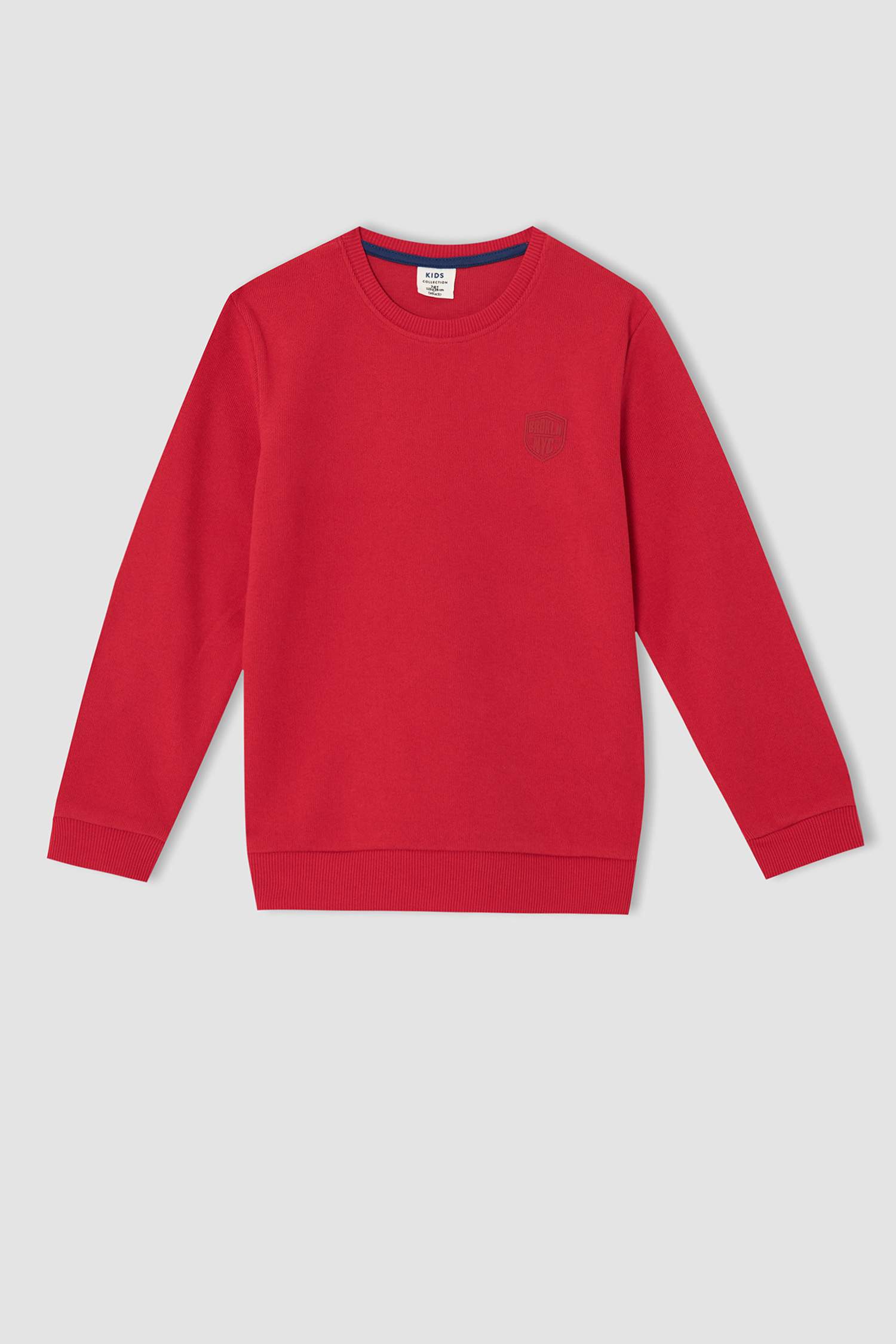 Erkek Çocuk Regular Fit Bisiklet Yaka Cepsiz Sweatshirt