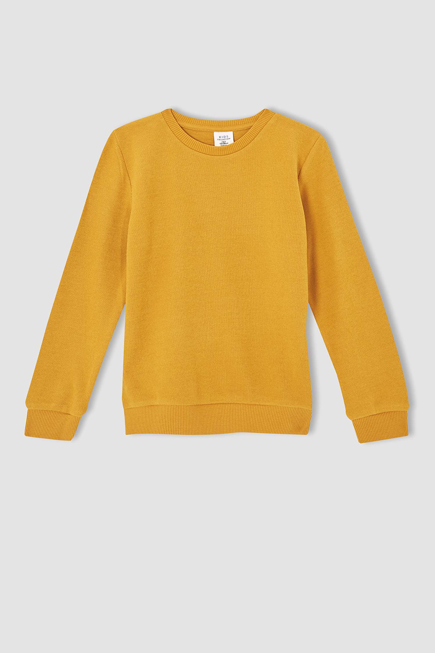 Erkek Çocuk Regular Fit Bisiklet Yaka Selanik Kumaş Sweatshirt