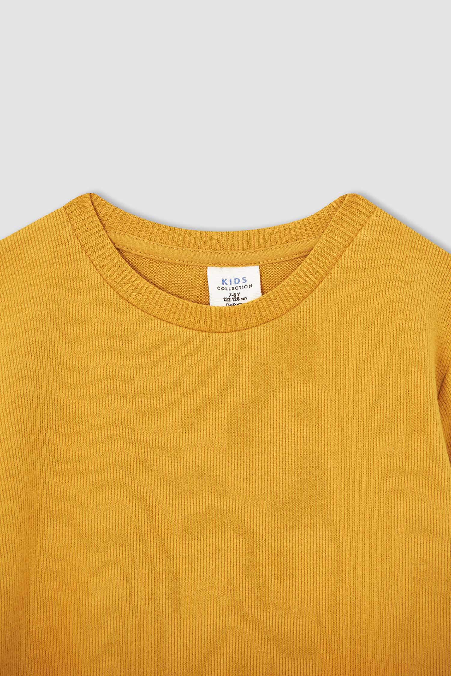 Erkek Çocuk Regular Fit Bisiklet Yaka Selanik Kumaş Sweatshirt