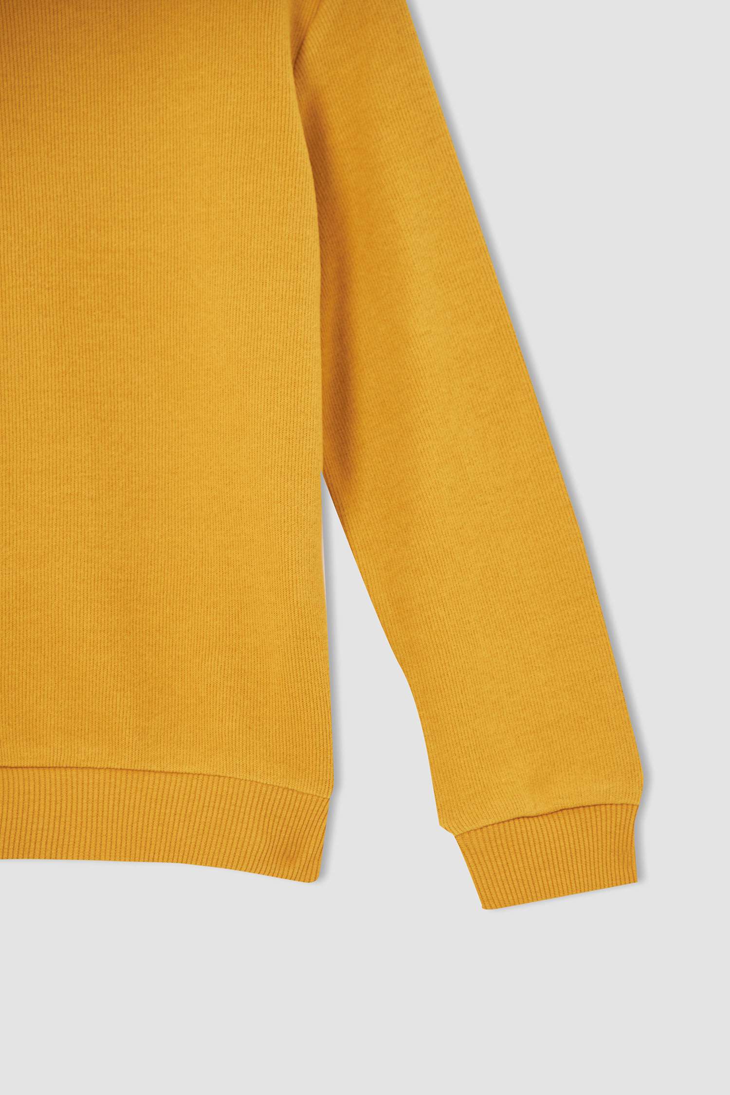Erkek Çocuk Regular Fit Bisiklet Yaka Selanik Kumaş Sweatshirt