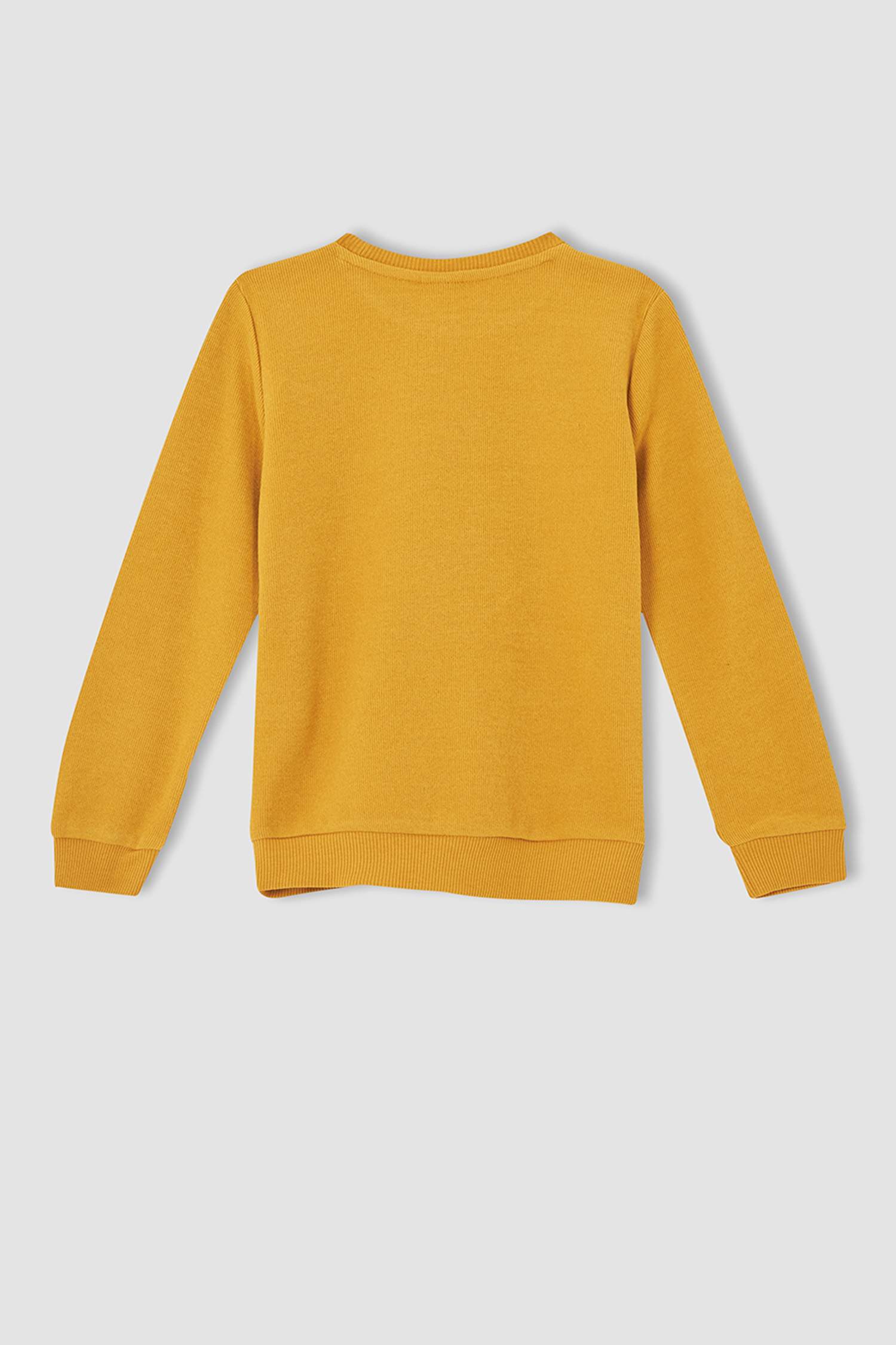 Erkek Çocuk Regular Fit Bisiklet Yaka Selanik Kumaş Sweatshirt