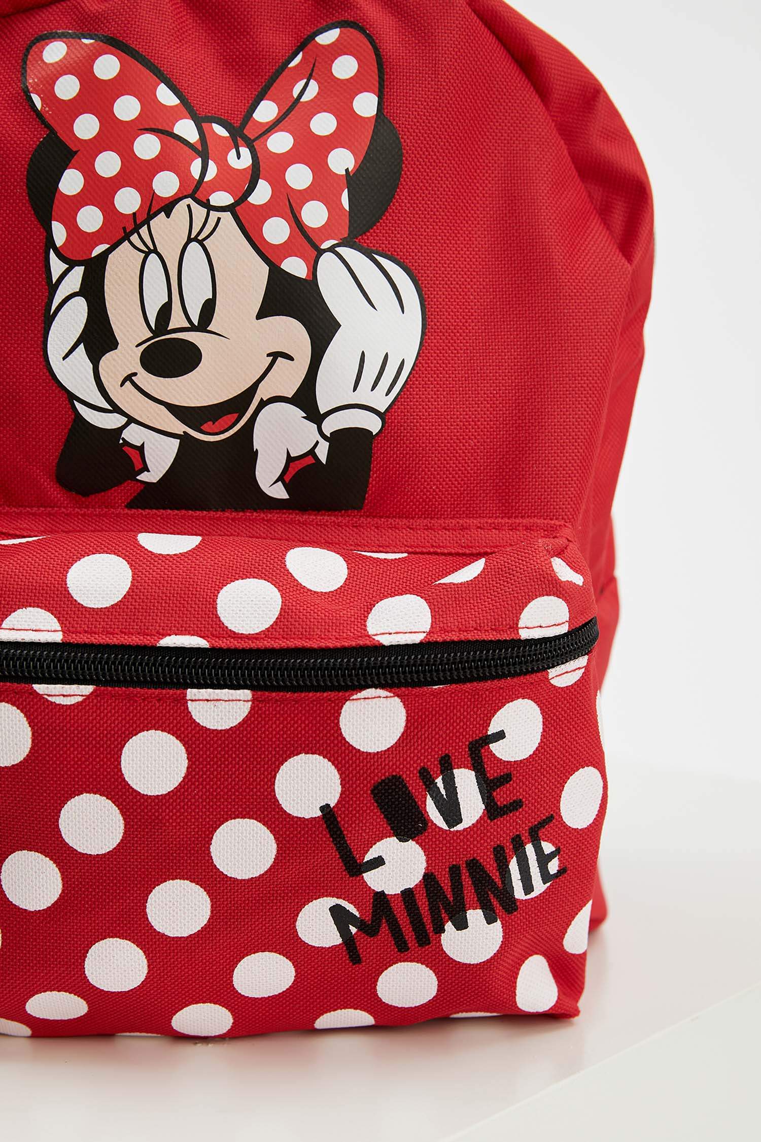 Kız Çocuk Mickey & Minnie Lisanslı