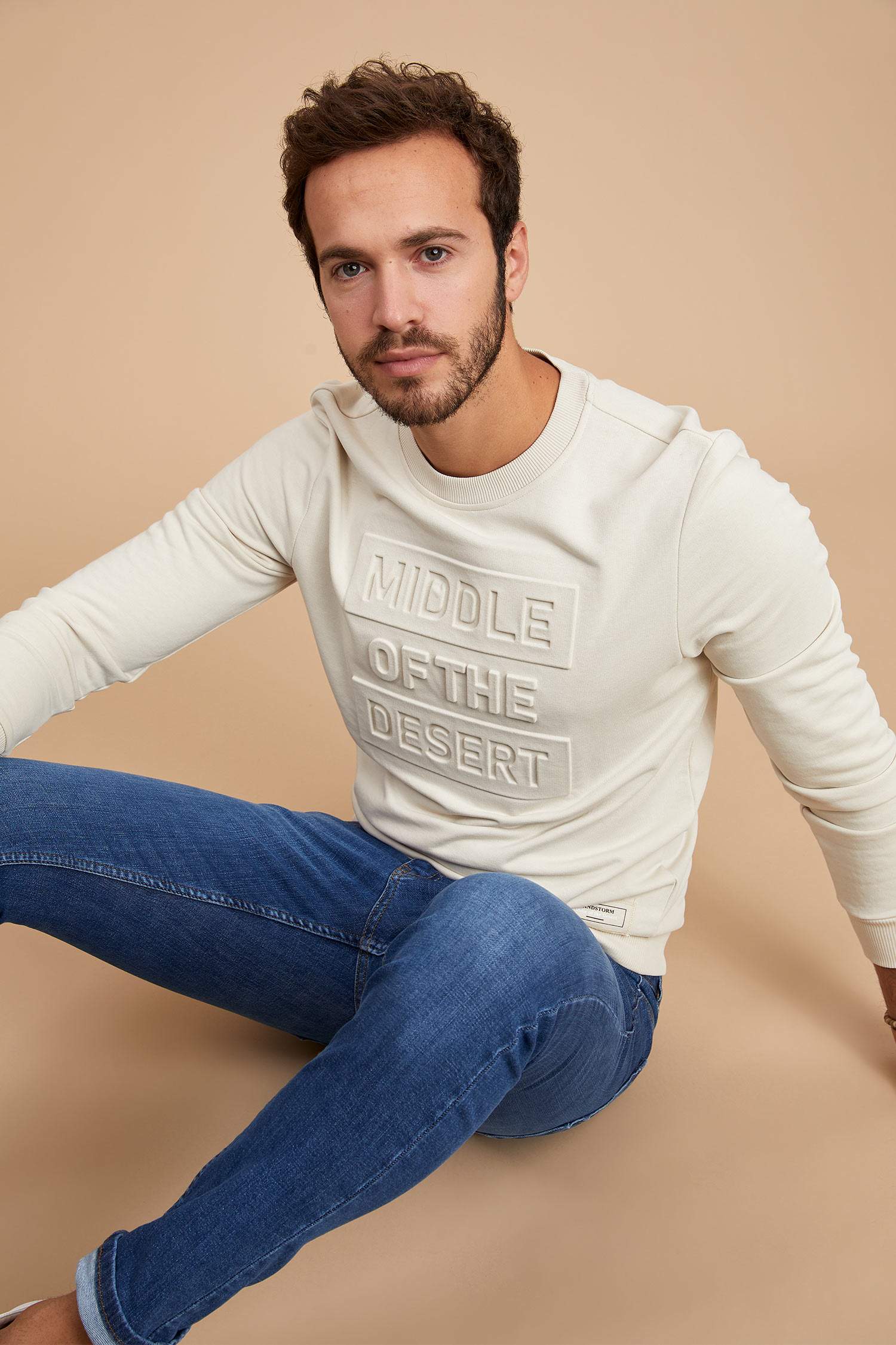 Baskılı Bisiklet Yaka Slim Fit Sweatshirt